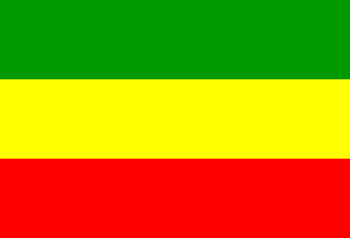 Flag of Bolivia upside-down