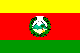 Flag of Bolivia in 1826 (unequal stripes variation)