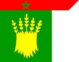 Agadir prov. flag