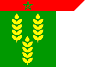 Agadir prov. flag