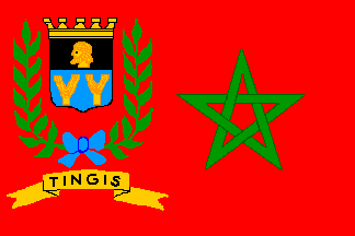 T.I.Z. flag #2a