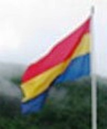 flag of Fusa art project