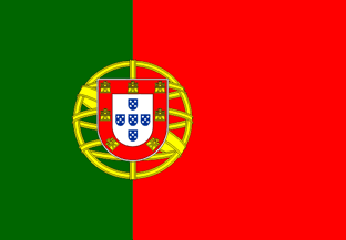 wrong flag