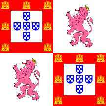 flag image