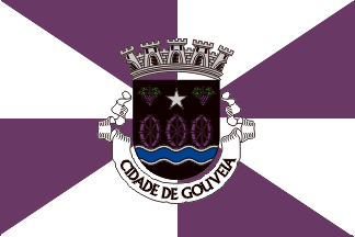 Gouveia municipality