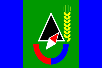 Gubkin flag