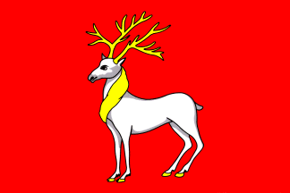 Rostov flag