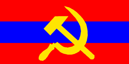 Tech. house flag