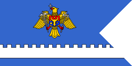 Customs Ensign